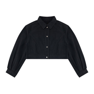 420G Vintage Cropped Slim Fit Denim Jacket