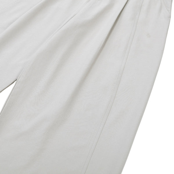 Minimalist Wide-Leg Pleated Pants
