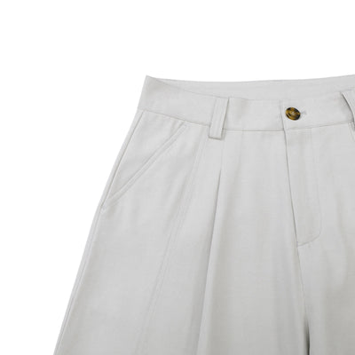 Minimalist Wide-Leg Pleated Pants