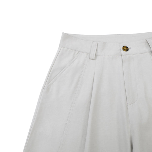 Minimalist Wide-Leg Pleated Pants