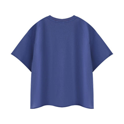 Snowflake Washed Raw Edge Boxy Cropped Tee