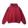 Oversized Plush Lining Plain Hoodie